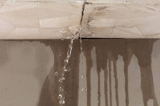 Professional Structural Drying technician working in Krakow, WI